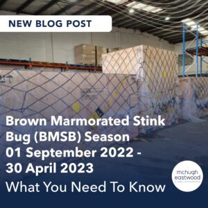 BMSB Season 2022-2023